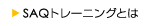 SAQg[jOƂ